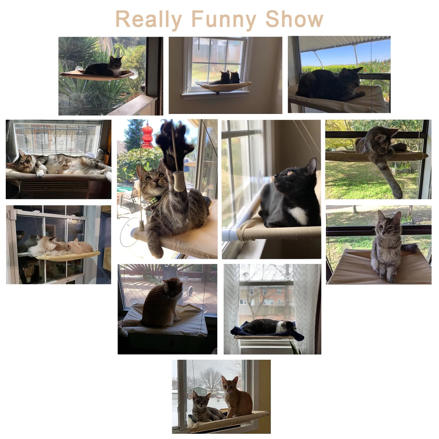 Cat Window Perch - Khaki Window Shelf and Hammock for Pets