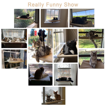 Cat Window Perch - Khaki Window Shelf and Hammock for Pets