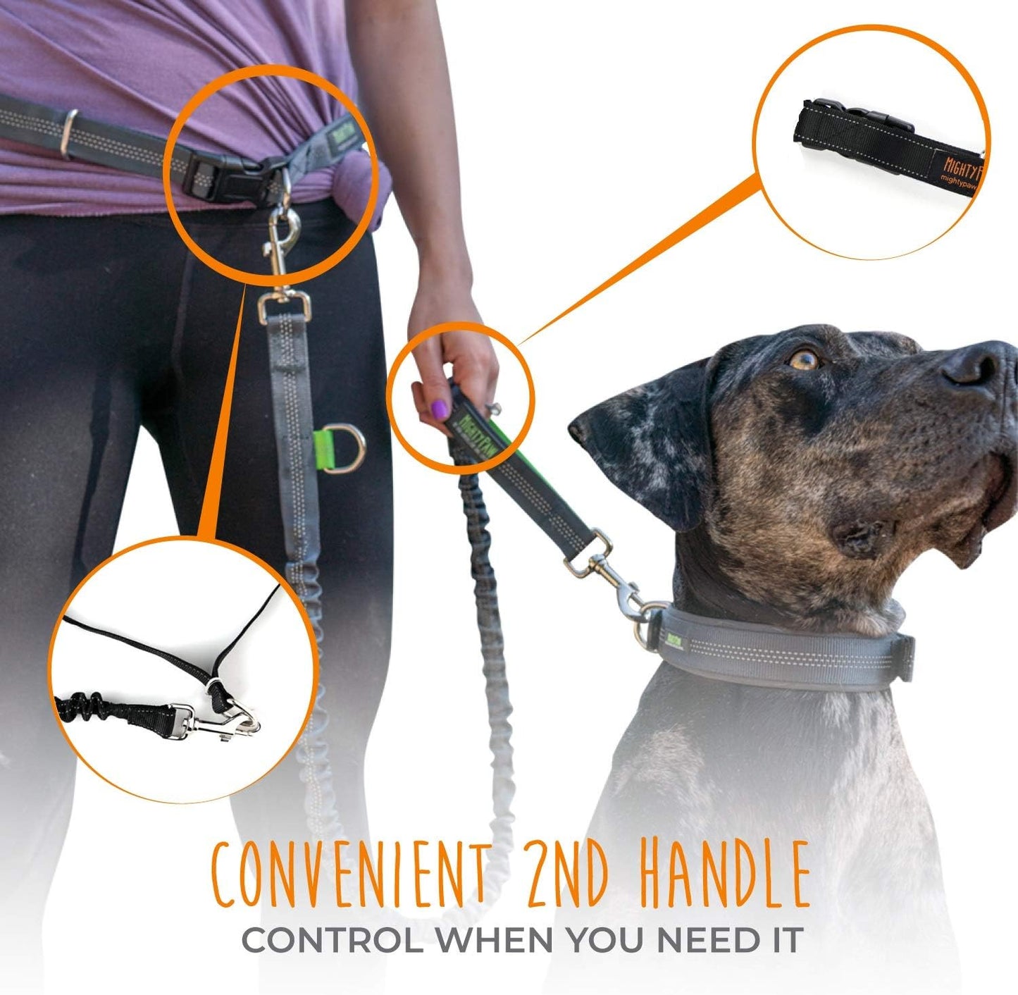 Hands-Free Dog Leash | Bungee Waist Leash for Walking and Running with Pets of All Sizes | Adjustable Waist Belt (36" - 48") Supports Up to 150 lbs - Black