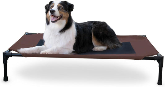 Elevated Outdoor Dog Cot - Breathable Cooling Hammock Bed for Large Dogs, Washable Mesh Cover, Raised Metal Frame, Collapsible and Portable - Large 42 x 30 inches, Chocolate