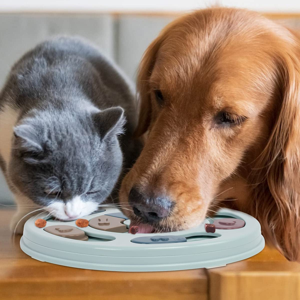 Interactive Dog Puzzle Toys for Puppies - Slow Feeder and Brain Stimulating Food Puzzles