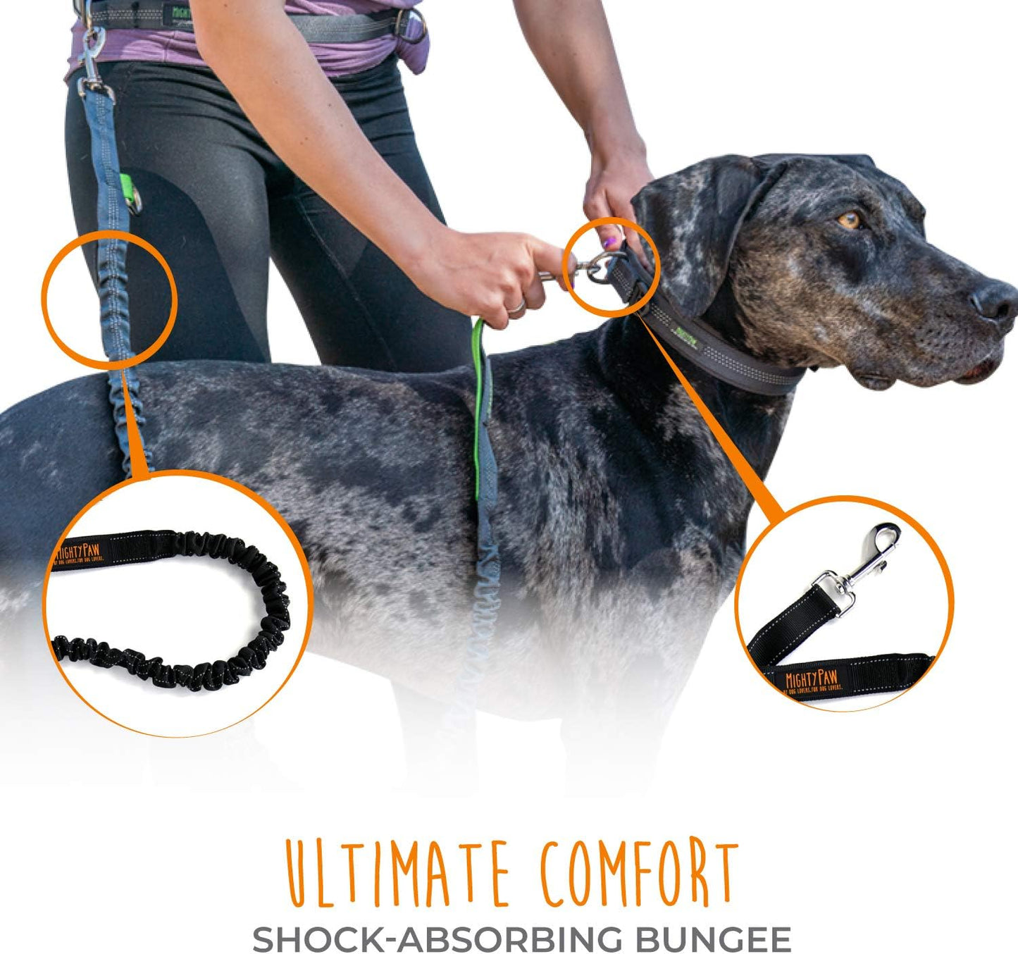 Hands-Free Dog Leash | Bungee Waist Leash for Walking and Running with Pets of All Sizes | Adjustable Waist Belt (36" - 48") Supports Up to 150 lbs - Black